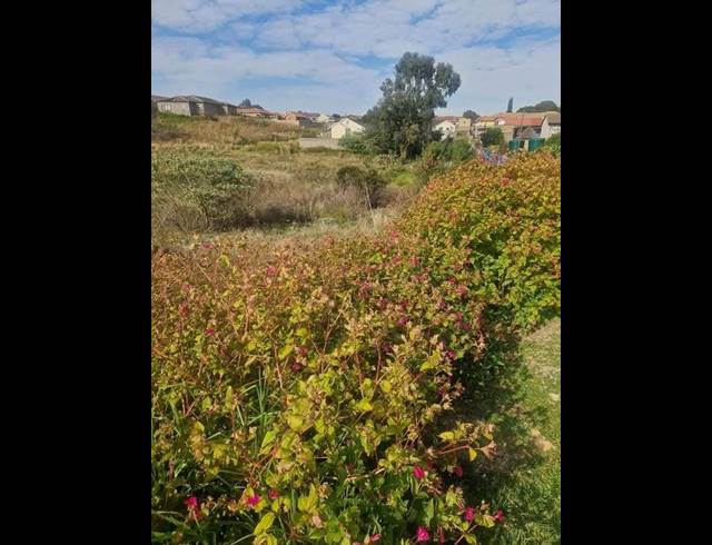 LAND FOR SALE IN ZAKARIYYA PARK